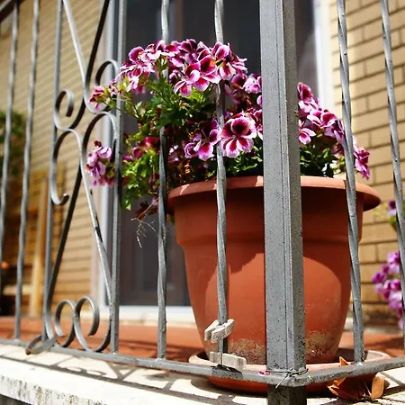 Bed and breakfast - Valmontone Palestrina